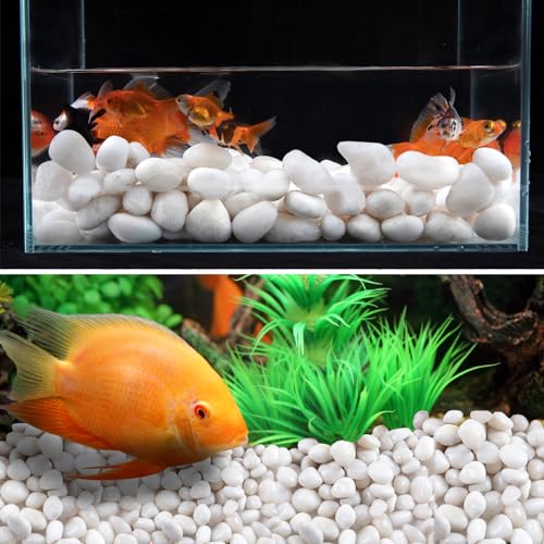 Image of 20lb White River Rock- High Polished Pebbles for Indoor Plants- Decorative Stones for Aquarium Fish Tank - White Rocks for Outdoor Garden Landscaping - 0.3 inch-0.8 inch