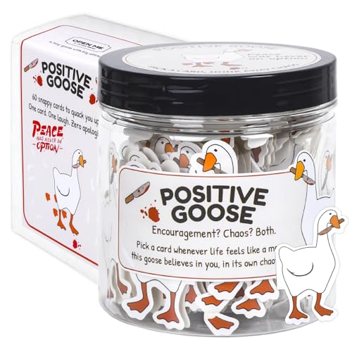 JULEASEL Positive Silly Goose Jar - 60 Funny Sarcastic Affirmation Cards