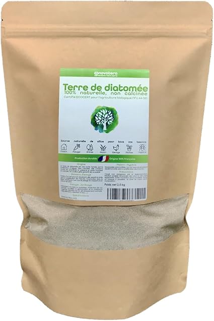 solutions naturelles contre les punaises de lit