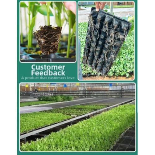 Inserts de démarrage en PVC noir pour optimiser la germination - 7