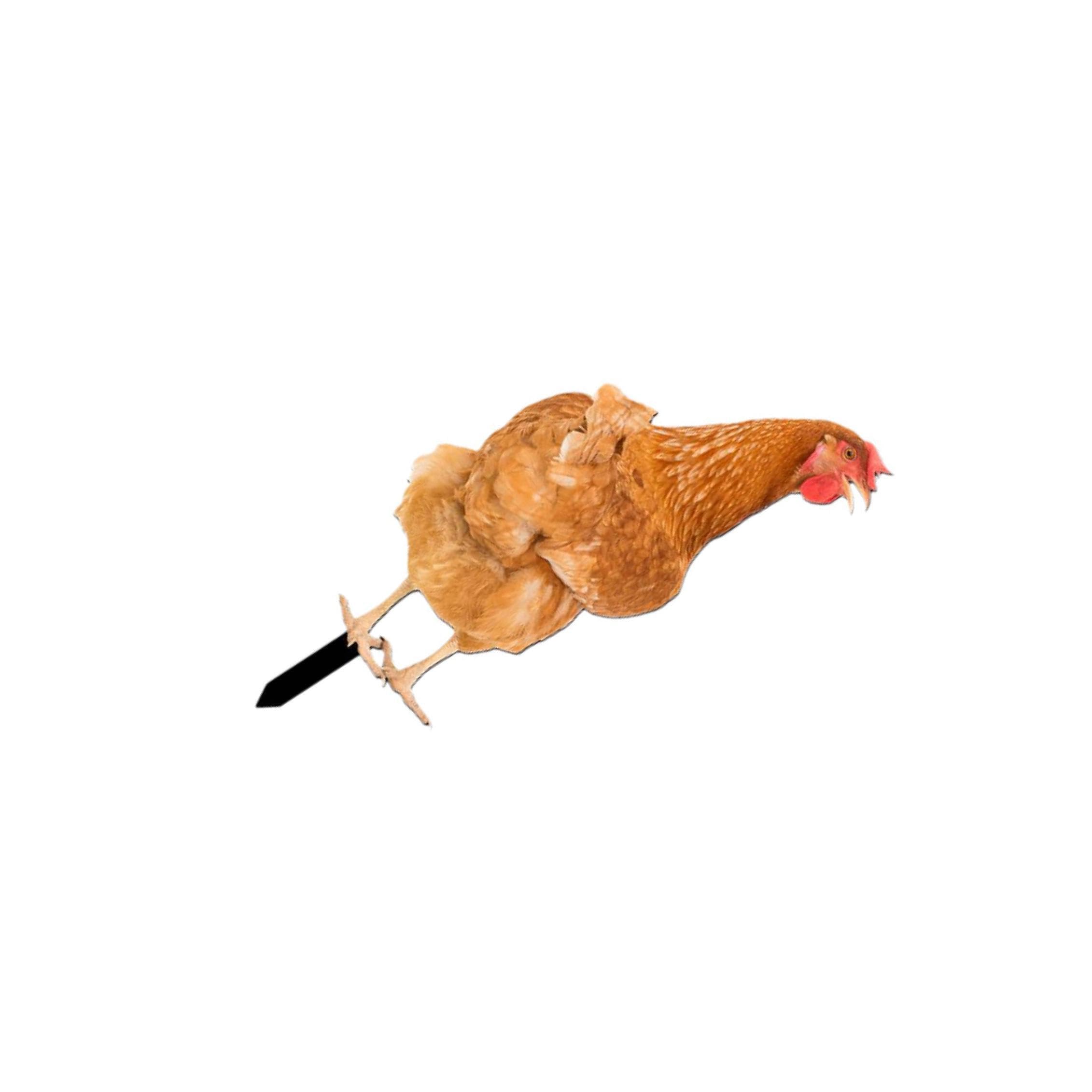 KTUXZCI Sturdy Chicken Statues Decorative Outdoor Art Attractive Yard Enhancements For Any Garden Landscape Backyards Acrylic Yard Outdoor Statues Signs
