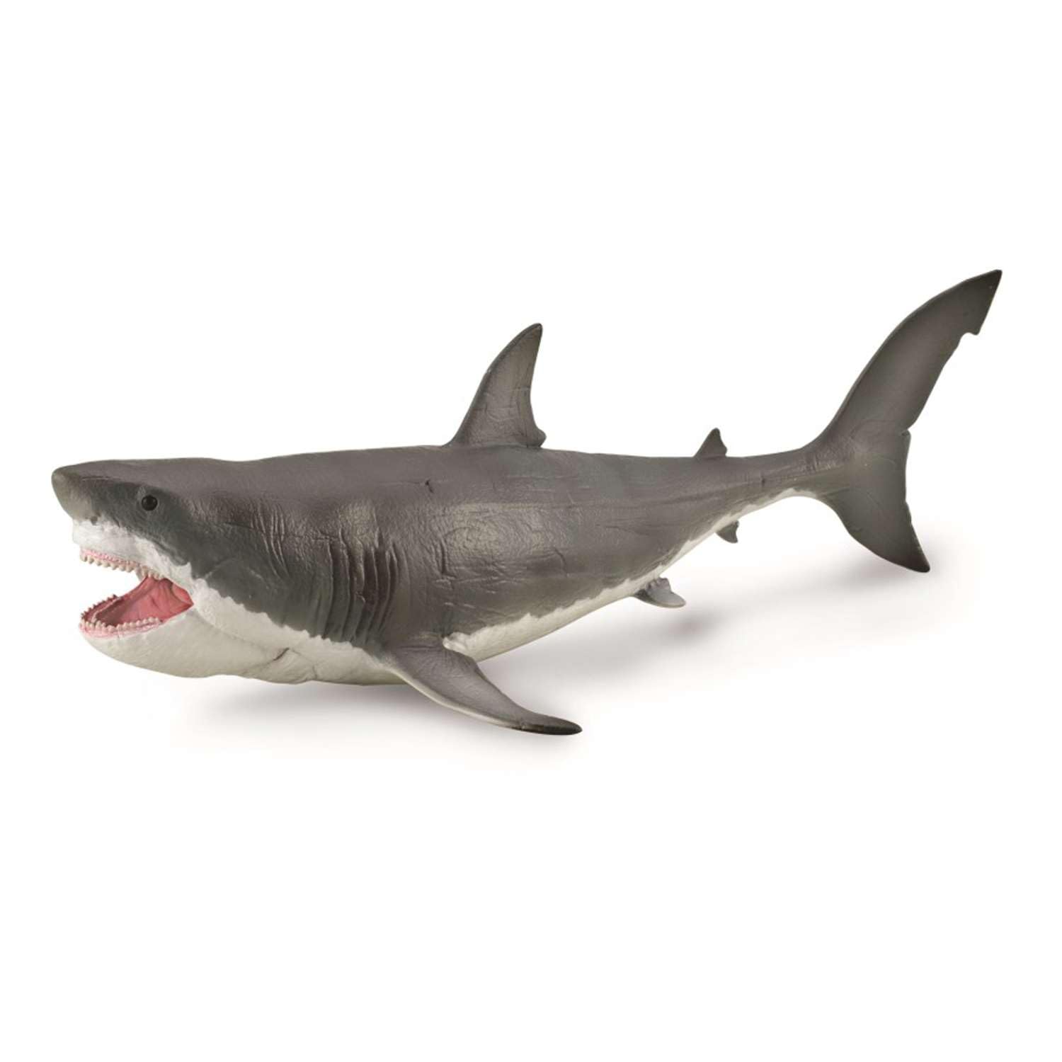 CollectA Megalodon with Movable Jaw, Deluxe 1:40 Scale