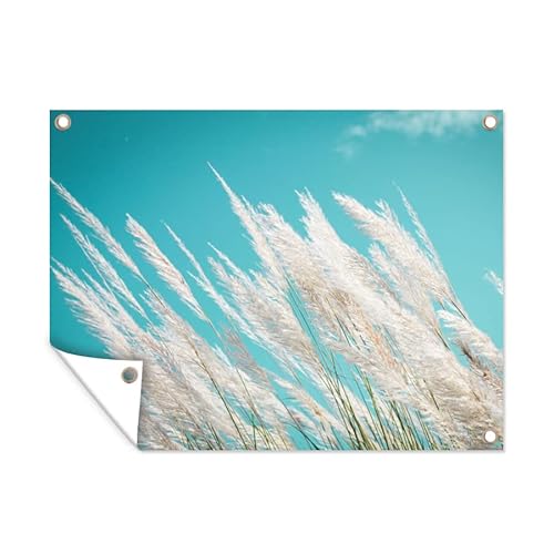 MuchoWow Poster exterieur Herbe de la pampa - Plante Decoration murale 120x90 cm Résistant aux intempéries/soleil