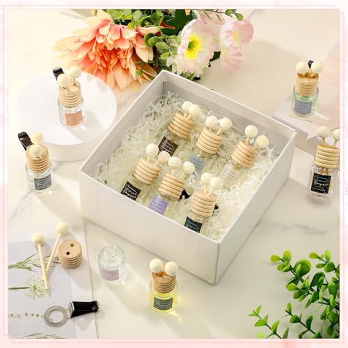Image of Cinnvoice 50 Pcs End of Year Teacher Appreciation Gifts Bulk, Empty Car Diffuser Bottles with Vent Clip, Refillable Essential Oil Car Air Freshener Gifts for Teacher Coworker Team Staff (Sometimes)