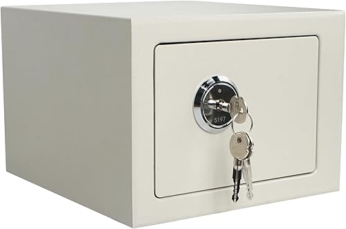 Luwint Caja de seguridad pequeña de acero con llave, uso doméstico general, 9.5 x 9 x 6.5 pulgadas (blanco)