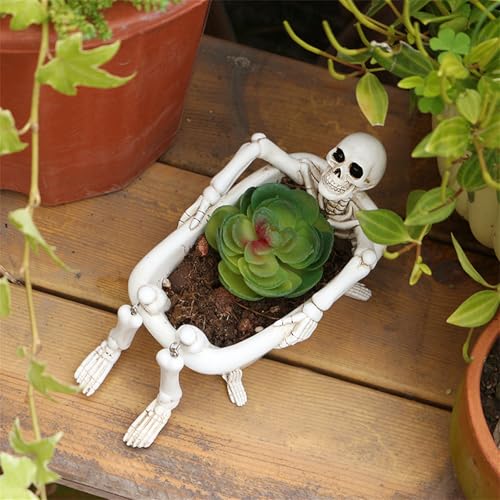 Pot de fleurs Halloween résine protégeant vos succulentes des chocs