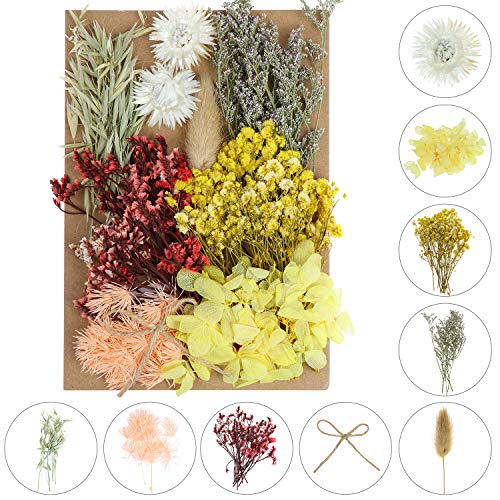 Flores secas decorativas variadas 131 piezas para manualidades miniatura 3