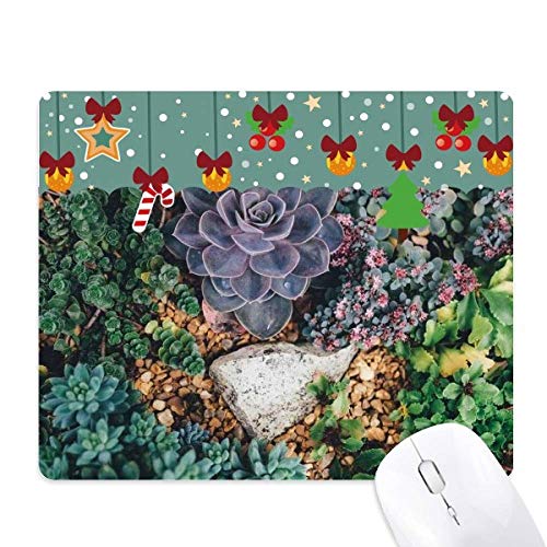 Tapis de souris de qualité Stone Flower Science au motif paysage naturel