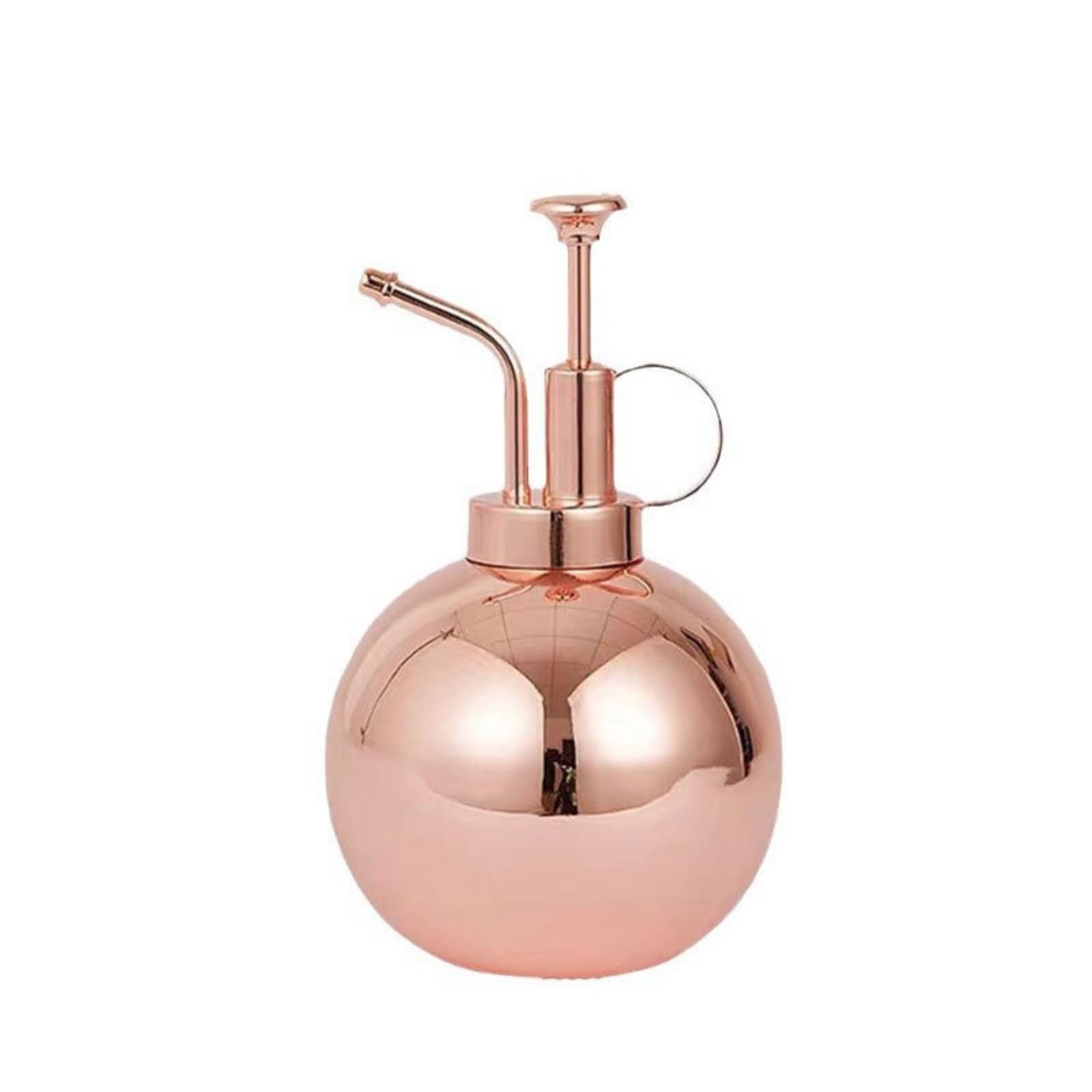 Spruzzatore Sferico da 500 Ml Comp Nebulizzatore con Corpo in Acciaio Inox Resistente Irroratore per Davanzale,
