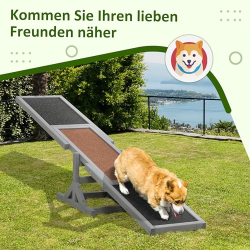 PawHut Hundewippe, Hunde Agility Wippe aus Holz, rutschfest Hunde Agilitäts Rampe für Hunde unter 30 kg, wetterfest Hundetraining Outdoor Hundesport für Balance, 180 x 30 x 30 cm Grau