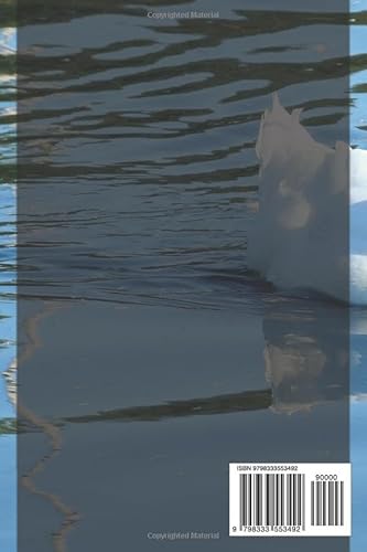 The Fascinating World of Ducks: Nature's Versatile Waterfowl