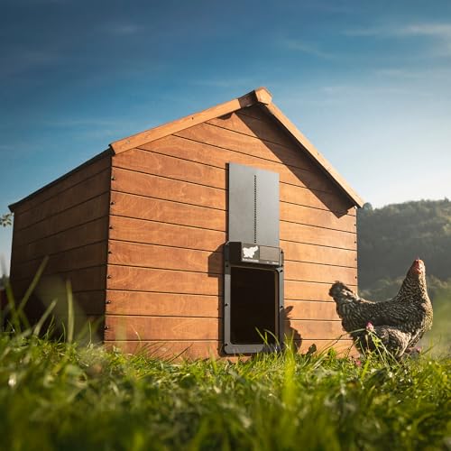 RUN-CHICKEN Door (Gray) Solar Chicken Coop Door, Battery Powered Automatic Chicken Coop Door, Programmable Electric Chicken Door with Timer, Light Sensor, Solar Powered, Eternal