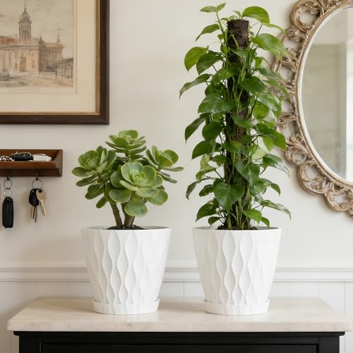 UOUZ 8 Inch Plant Pots, 2 Pack Plastic Planters for Indoor Outdoor with Drainage Holes & Saucers, Waffle Texture Flower Pots for Indoor Plants, Indoor Plant Pots for Monstera, Fiddle Leaf Fig, White by UOUZ - Image 7