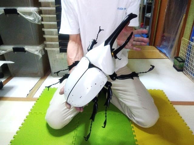 Amazon.co.jp: 超大型 グラントシロカブト MEGA フィギュア : おもちゃ