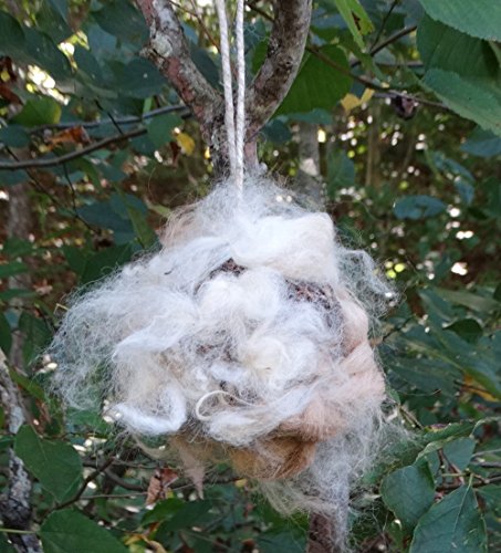 Best Wool Ball For Birds