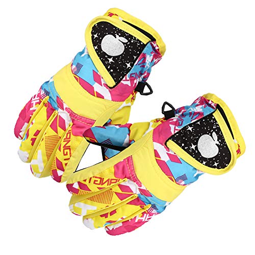 Echana LbY h O[u h  XL[ O[u ~ h g ʊw V  j c 2-7 (CG[)