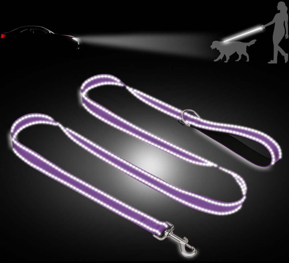 Taglory Guinzaglio per Cani Riflettente con Manico Imbottito e Gancio in Metallo, Nylon Resistente Addestramento Cane Guinzaglio, 1.8 m x 2.5 cm, Viola