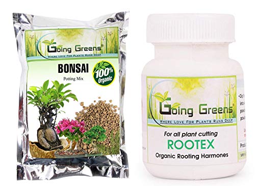 Image of Combo of 100% Organic Bonsai Potting Soil Mix (2 kgs) + Rootex (25 GMS)
