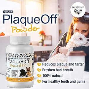 Proden plaqueoff dental package with plaqueoff powder for dogs 60 g and mini dental care bones with vegetable fusion flavor for dogs 12 oz   cucciolini doodles