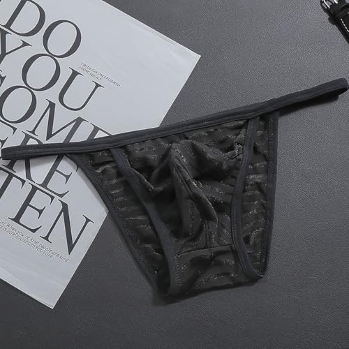 Mens Sexy Mesh Thong See Through G-Strings Underwear Low Rise Bikini Briefs3