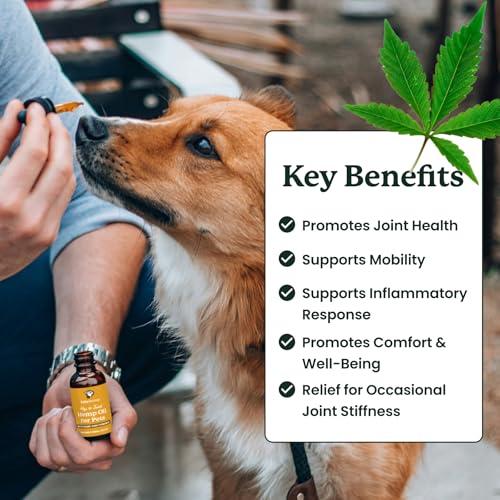 Image of Lolahemp Mobility & Hip & Joint Hemp Oil for Dogs - Organic Hemp & Turmeric - Mobility, Comfort & Longevity
