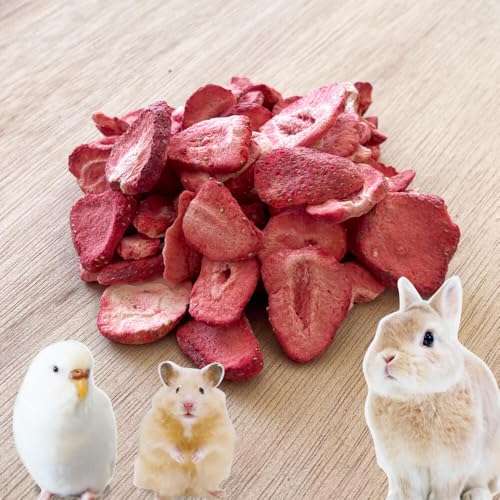 napnap(ナップナップ) 砂糖不使用 小動物用フリーズドライいちご 45g 15g×3袋 1袋約50枚入り スライス イチゴ 苺 ウサギ ハムスター モルモット インコ リス フェレット ハリネズミ モモンガ おやつ 人も食べれる 完全無添加 砂糖ゼロ
