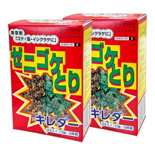 [jSPƂ  L_[a (2g×10ܓ) 2Zbg