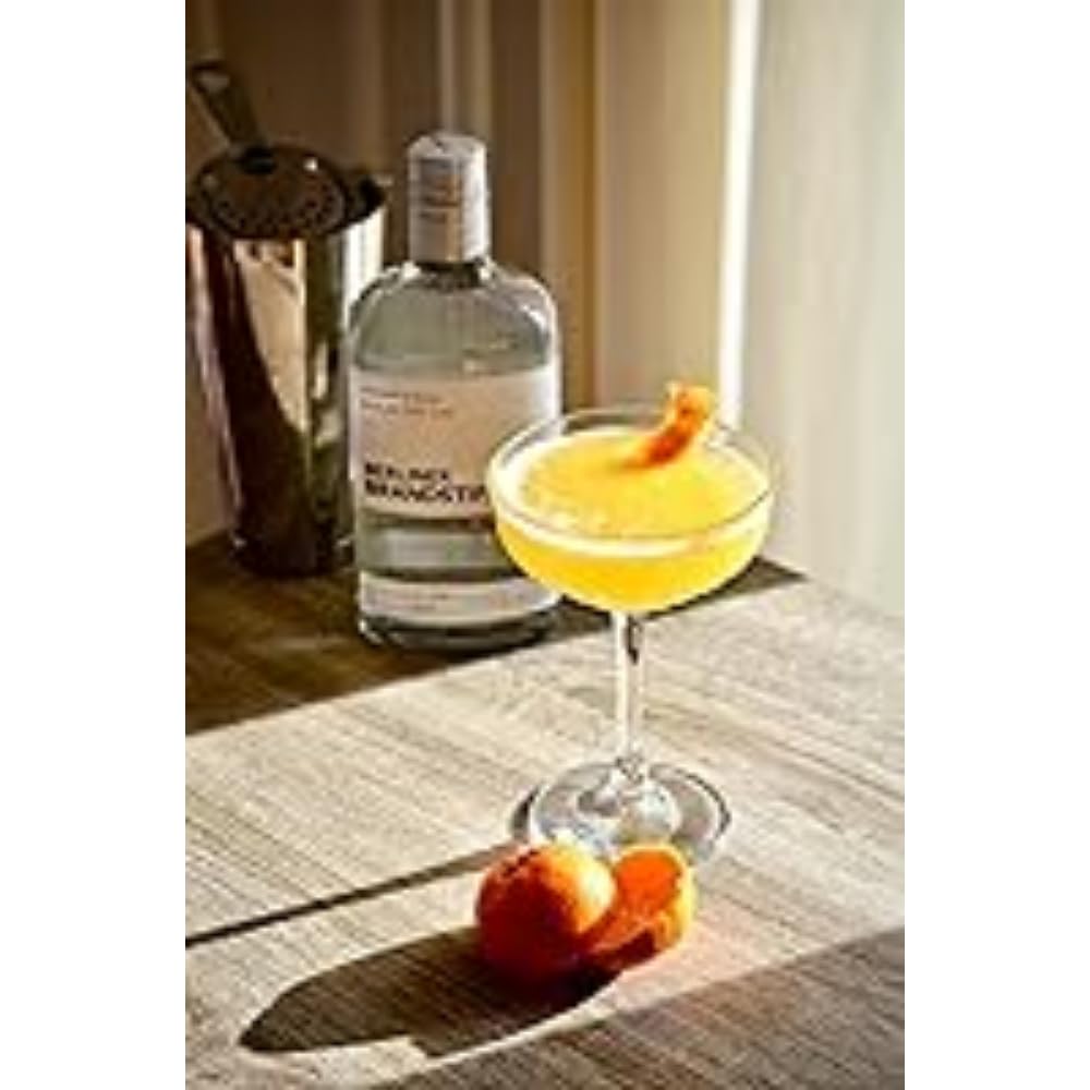 BERLINER BRANDSTIFTER Gin