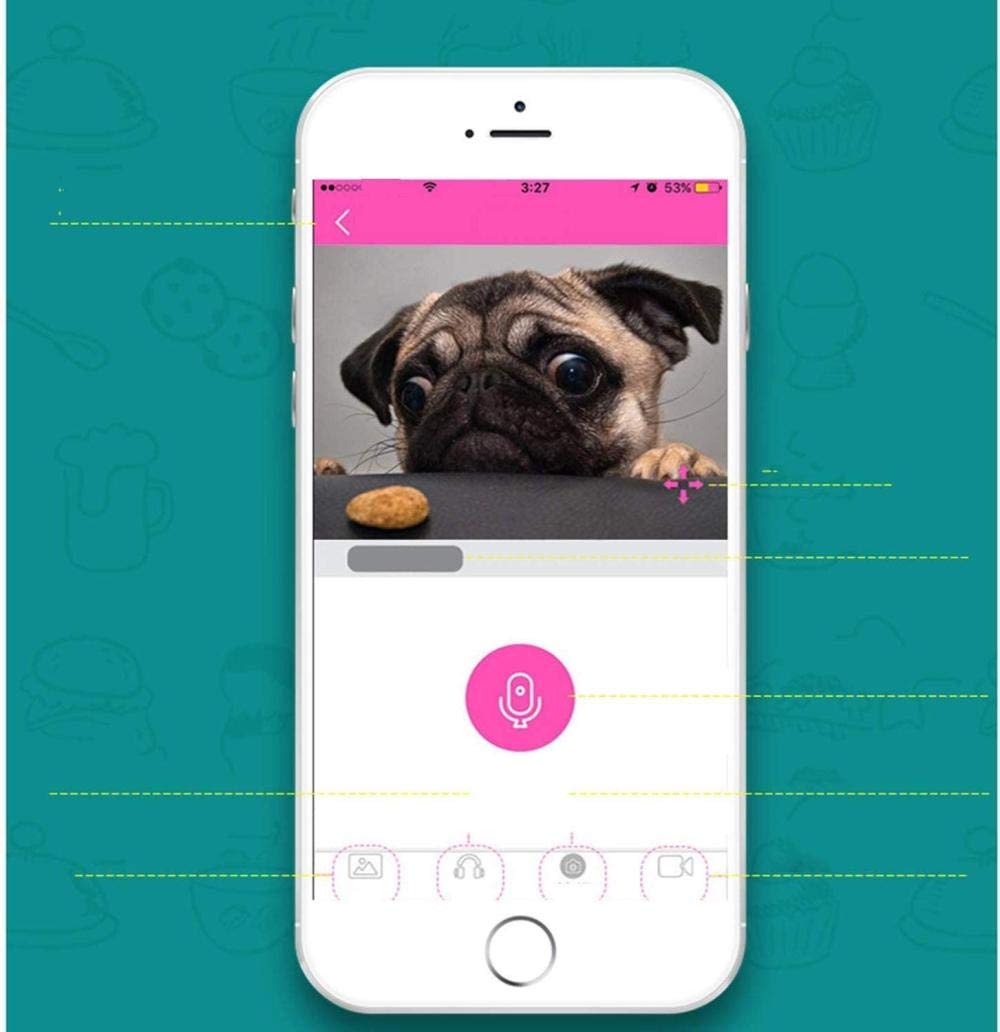 6L Alimentatore Automatico di Animali Domestici Dispenser per Alimenti Controllo App WiFi Videosorveglianza Registratore vocale Timer programmabile Staccabile per Cani e Gatti -Bianco