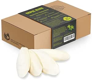 Sepia King ECO Box Sepiaschalen für Reptilien, Schildkröten, Bartagame, Vögel | Premium Sepia ...