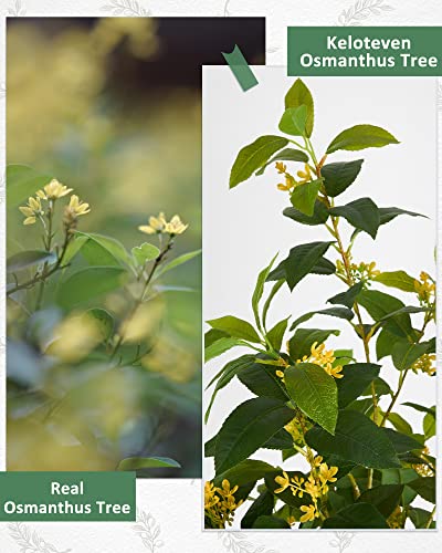 Keloteven Artificial Tree Indoor Osmanthus 5Ft Tall Faux Plant Potted Silk Realistic Flowers & Leaves Fake Osmanthus Tree In Pot Artificial Plants For Home Office Room Tree Decor Housewarming Gift #TOP3