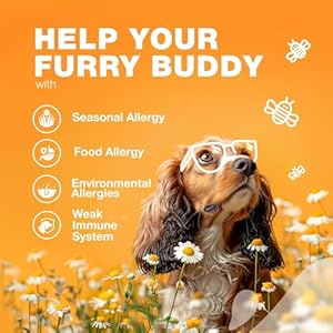 Dog Allergy Relief Chews - Itch Relief for Dogs - Anti Itch - Dog Allergy Chews - US Formulated Dog Itching Skin Relief with Salmon Oil - Immune Health, Seasonal Allergies & Hot Spots Support Treats Dog Allergy Relief Chews Itch Relief for Dogs Anti Itch Dog Allergy Chews US Formulated Dog Itching Skin Relief with Salmon Oil Immune Health Seasonal Allergies Hot Spots Support Treats