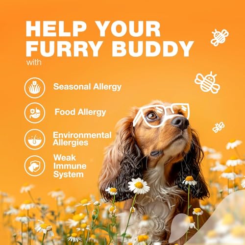 Dog-Allergy-Relief-Chews-Itch-Relief-for-Dogs-Anti-Itch-Dog-Allergy-Chews-US-Formulated-Dog-Itching-Skin-Relief-with-Salmon-Oil-Immune-Health-Seasonal-Allergies-Hot-Spots-Support-Treats Dog Allergy Relief Chews Itch Relief for Dogs Anti Itch Dog Allergy Chews US Formulated Dog Itching Skin Relief with Salmon Oil Immune Health Seasonal Allergies Hot Spots Support Treats