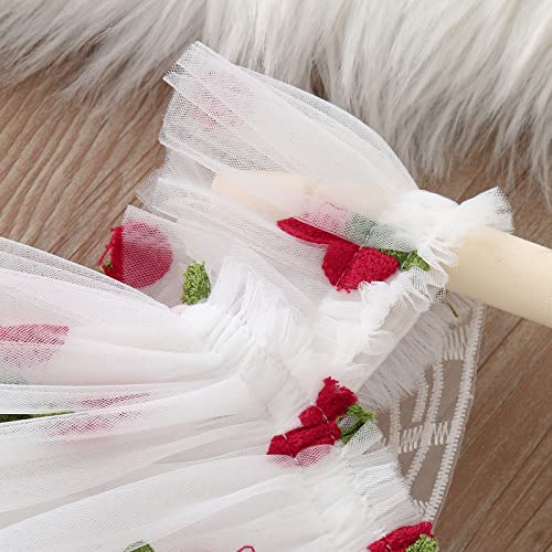 Toddler Girls Fly Sleeve Butterfly Cherry Embroidery Tulle Dress Dance Party Princess Flower Girl Dress for 12 Months3