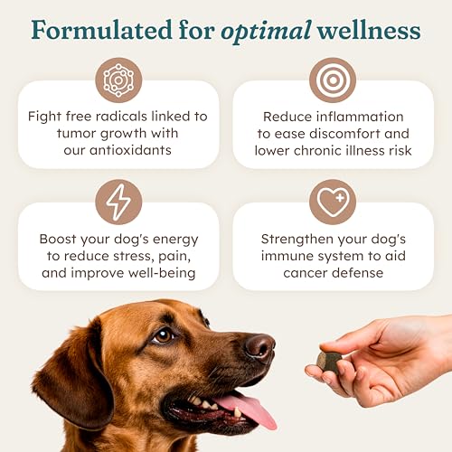 Image of PetHeal Immune Plus Chews for Dogs - Vet-Reviewed - Supports Immunity, Energy & Liver Health with Turkey Tail, Reishi & Milk Thistle | Reduces Lumps & Promotes Shiny Coat | 30 Pork-Flavored Soft Chews