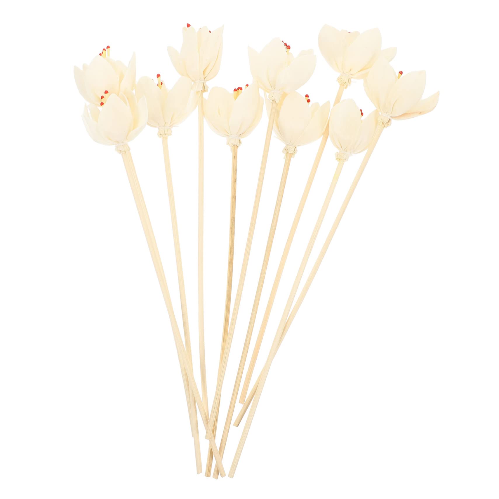 Cabilock Aroma Sticks Diffusers Essential Oil Diffuser Sticks for Home 10pcs Pack
