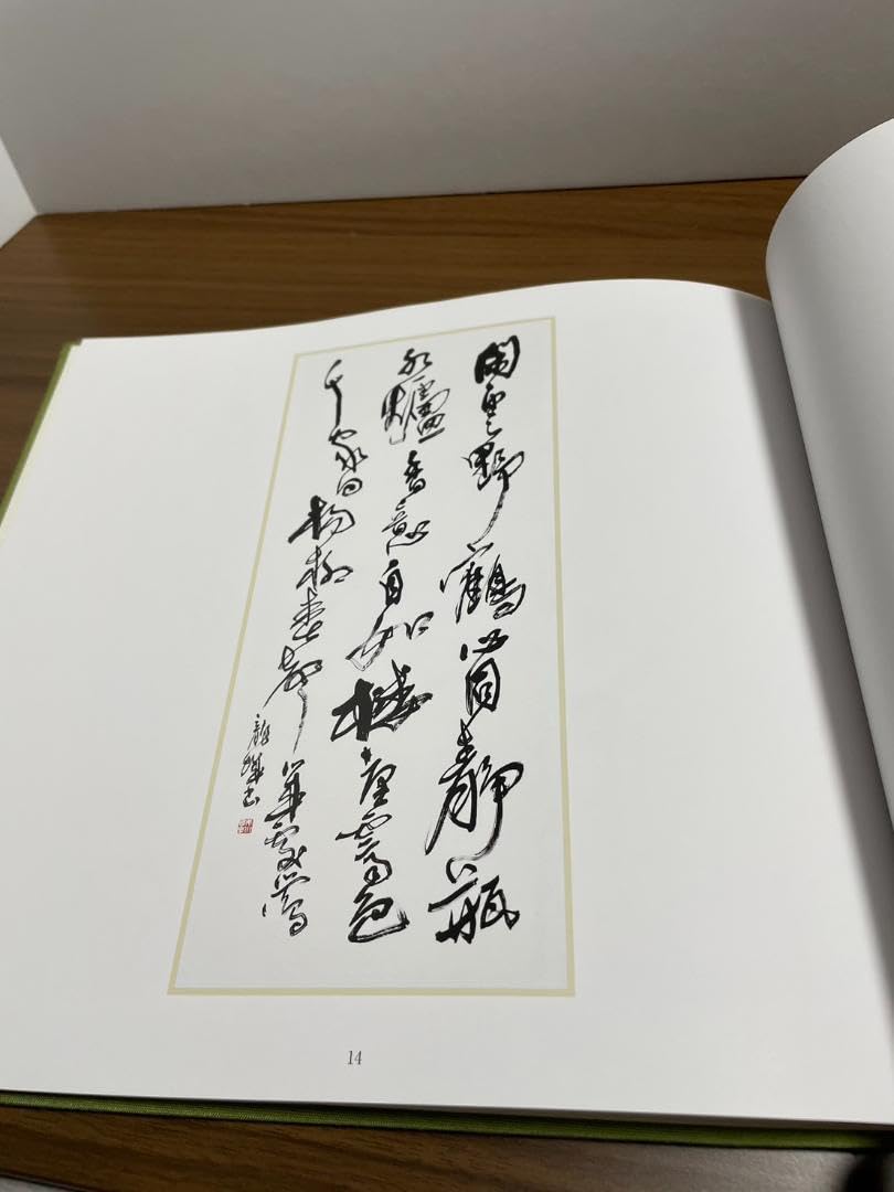 市川龍城作品集　書道　（プレミア） 市川龍城作品集 書道 （プレミア） 市川龍城作品集 書道