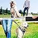 WINSEE Pet Harness Collar and Leash Set, All-in-one Reflective Dog Harness No Pull with Adjustable Buckles for Puppies, Small, Medium, Large, and Extra-Large Dogs (Large, Black)