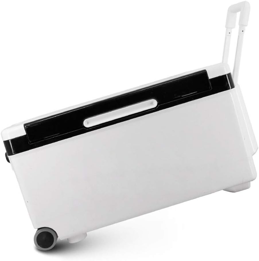 Fishing Box Multi-Function Fish Bucket Fishing Box Fishing Supplies Fishing Box For Outdoor Black Easy To Store And Use (Color : Black, Size : 64X33X48Cm)