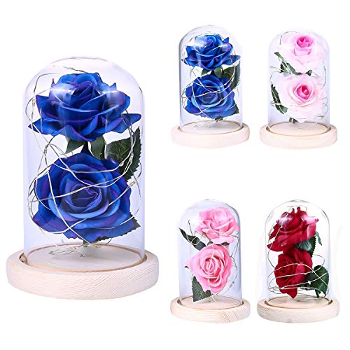 LLEVÓ la Belleza de Rosa y Bestia Batería Accionada Dos Flor Roja Cadena Luz Cúpula de Cristal Lámpara Regalo de Cumpleaños de San Valentín (Color : Azul)