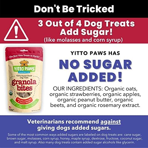 What Fruit Can You Give Dogs