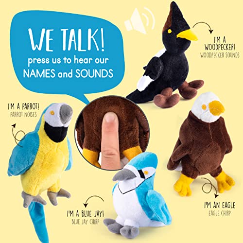 Plush Creations SET OF 4 TALKING PLUSH ANIMALS Audubon Plush Stuffed Birds | Audubon Stuffed Bird Set | Set Of 4 Talking Birds Toy thumb #1
