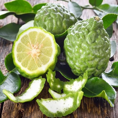 60 graines de fruits de bergamote