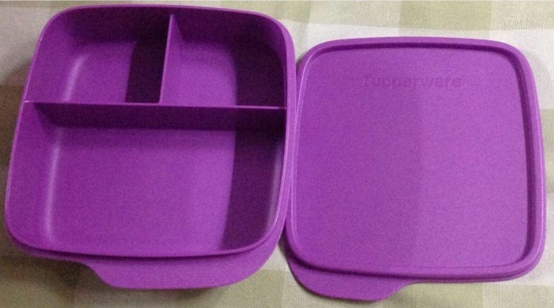 Buy Tupperware Divided Dish Fun Meal Partition 1 pc Plastic Lunch Set