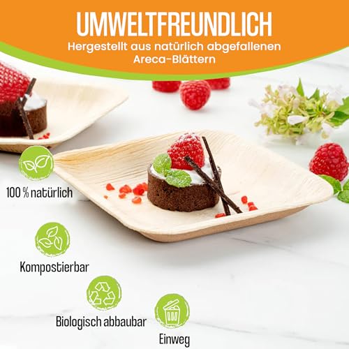 Raj Palmblatt Teller [100er-Pack] - 15 cm Quadratische | Umweltfreundliche – Ansicht 6