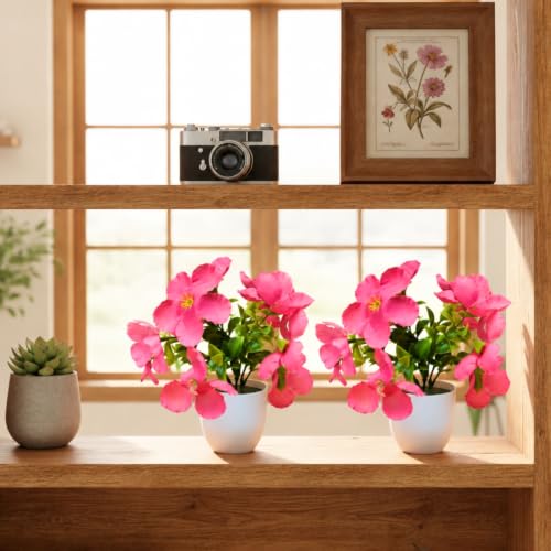 Image of fancymart Artificial Real Touch Flower Plant with Pot (Pack of 2), 16 cm Height, Decorative Faux Floral Plant for Home, Office, Living Room, Bedroom, Table & Shelf Decor