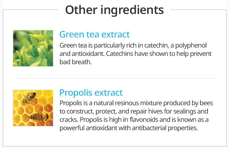 Koreańska pasta do zębów Propolis Bees Dental Oral Care System (2 szt.)