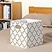 BAIST Cube Storage Organizer 11 x 11 Large Cubby Storage Bins with Metal Handles Collapsible Decorative Shelf Storage Bins for Dog Food Toys Kids Bathroom Office Nursery (4-Pack, Gold Lattice)