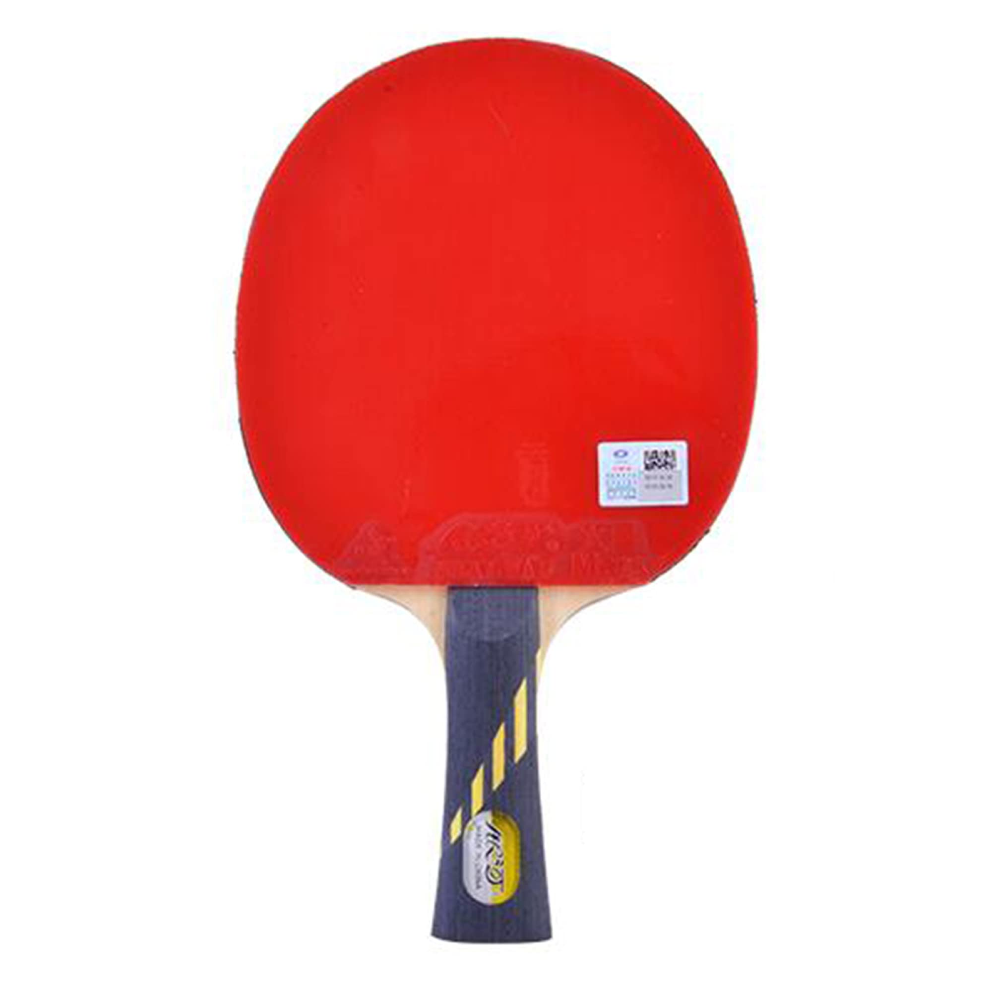 Raquette de Ping Pong Professionnel Set 4 Raquette de Tennis de Table