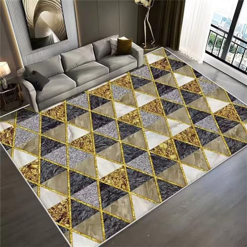 Tapis salon poil ras lavable et résistant à l'usure 2x3m - 2